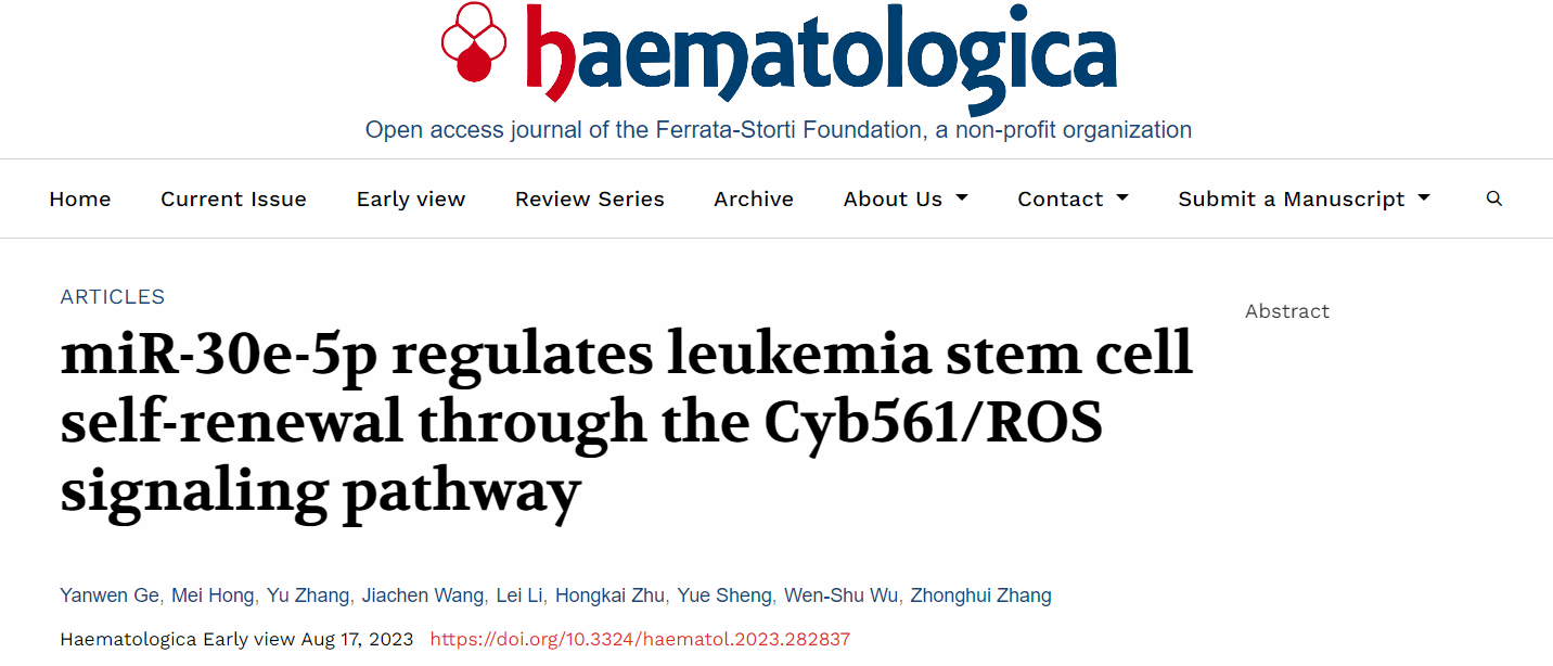 B1E100B34B3CC6A91424117DC0A_F55C754F_BAA2