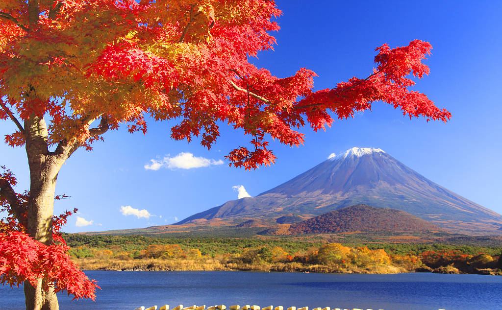 钱柜qg777(中国集团)唯一官方网站