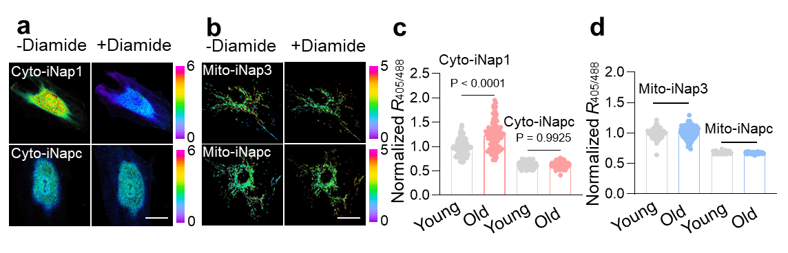 0EC1D512D9CE009C0C4D7D67D4C_700F7C7B_DF7F