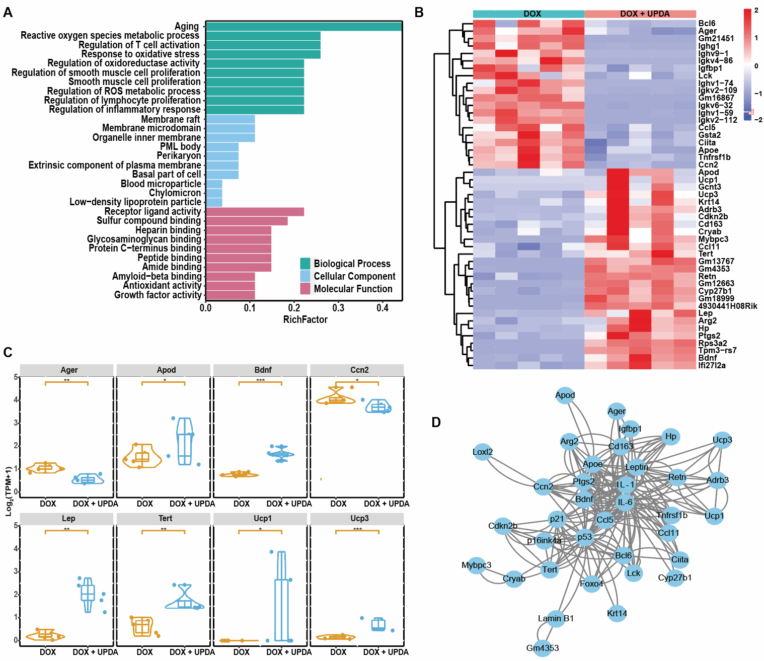 8D46BE648CD92442B8EB03C119F_5B4043E7_1BDD2